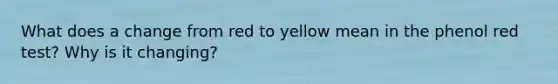 What does a change from red to yellow mean in the phenol red test? Why is it changing?