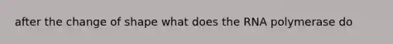 after the change of shape what does the RNA polymerase do