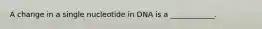 A change in a single nucleotide in DNA is a ____________.