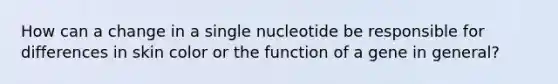 How can a change in a single nucleotide be responsible for differences in skin color or the function of a gene in general?