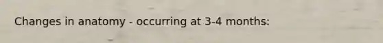 Changes in anatomy - occurring at 3-4 months: