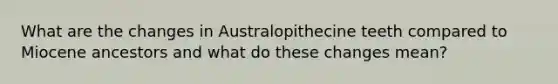 What are the changes in Australopithecine teeth compared to Miocene ancestors and what do these changes mean?