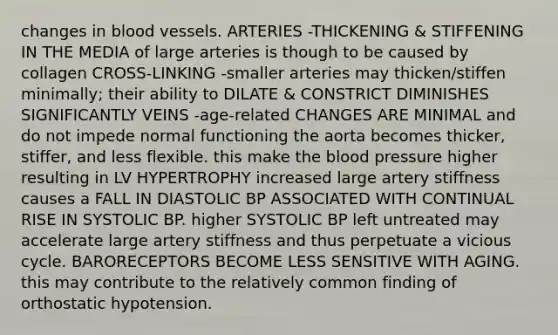 changes in blood vessels. ARTERIES -THICKENING & STIFFENING IN THE MEDIA of large arteries is though to be caused by collagen CROSS-LINKING -smaller arteries may thicken/stiffen minimally; their ability to DILATE & CONSTRICT DIMINISHES SIGNIFICANTLY VEINS -age-related CHANGES ARE MINIMAL and do not impede normal functioning the aorta becomes thicker, stiffer, and less flexible. this make the blood pressure higher resulting in LV HYPERTROPHY increased large artery stiffness causes a FALL IN DIASTOLIC BP ASSOCIATED WITH CONTINUAL RISE IN SYSTOLIC BP. higher SYSTOLIC BP left untreated may accelerate large artery stiffness and thus perpetuate a vicious cycle. BARORECEPTORS BECOME LESS SENSITIVE WITH AGING. this may contribute to the relatively common finding of orthostatic hypotension.