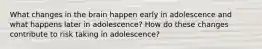 What changes in the brain happen early in adolescence and what happens later in adolescence? How do these changes contribute to risk taking in adolescence?