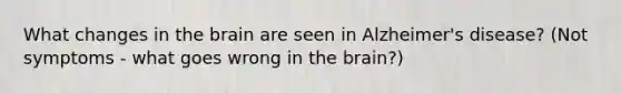 What changes in the brain are seen in Alzheimer's disease? (Not symptoms - what goes wrong in the brain?)
