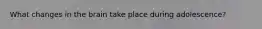 What changes in the brain take place during adolescence?