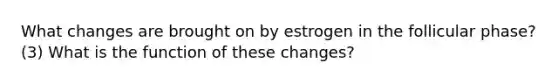 What changes are brought on by estrogen in the follicular phase? (3) What is the function of these changes?