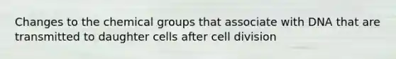 Changes to the chemical groups that associate with DNA that are transmitted to daughter cells after <a href='https://www.questionai.com/knowledge/kjHVAH8Me4-cell-division' class='anchor-knowledge'>cell division</a>