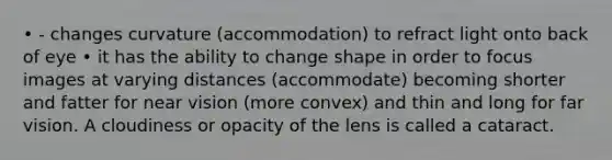 • - changes curvature (accommodation) to refract light onto back of eye • it has the ability to change shape in order to focus images at varying distances (accommodate) becoming shorter and fatter for near vision (more convex) and thin and long for far vision. A cloudiness or opacity of the lens is called a cataract.