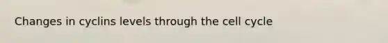 Changes in cyclins levels through the <a href='https://www.questionai.com/knowledge/keQNMM7c75-cell-cycle' class='anchor-knowledge'>cell cycle</a>