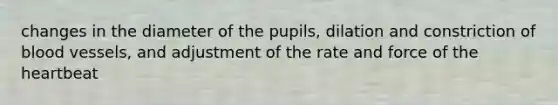 changes in the diameter of the pupils, dilation and constriction of blood vessels, and adjustment of the rate and force of the heartbeat