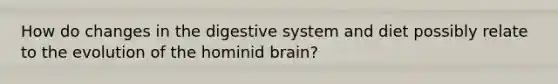 How do changes in the digestive system and diet possibly relate to the evolution of the hominid brain?