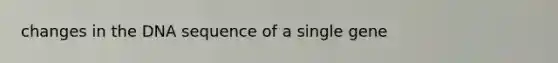 changes in the DNA sequence of a single gene