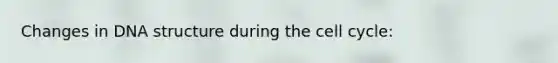 Changes in DNA structure during the cell cycle: