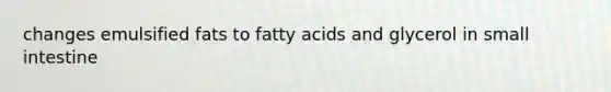 changes emulsified fats to fatty acids and glycerol in small intestine