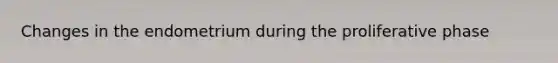 Changes in the endometrium during the proliferative phase