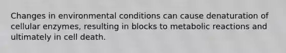 Changes in environmental conditions can cause denaturation of cellular enzymes, resulting in blocks to metabolic reactions and ultimately in cell death.