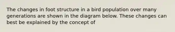 The changes in foot structure in a bird population over many generations are shown in the diagram below. These changes can best be explained by the concept of