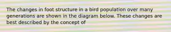 The changes in foot structure in a bird population over many generations are shown in the diagram below. These changes are best described by the concept of