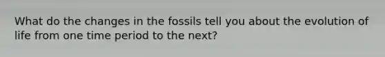 What do the changes in the fossils tell you about the evolution of life from one time period to the next?