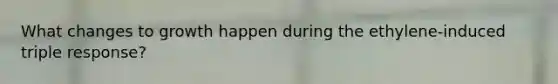 What changes to growth happen during the ethylene-induced triple response?