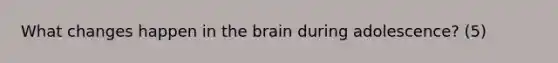 What changes happen in the brain during adolescence? (5)