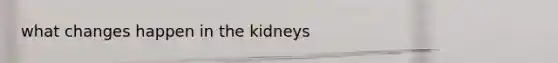 what changes happen in the kidneys