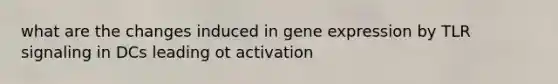 what are the changes induced in gene expression by TLR signaling in DCs leading ot activation