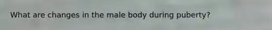 What are changes in the male body during puberty?