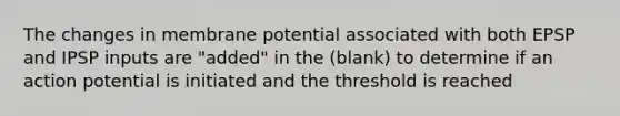 The changes in membrane potential associated with both EPSP and IPSP inputs are "added" in the (blank) to determine if an action potential is initiated and the threshold is reached