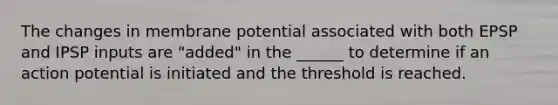 The changes in membrane potential associated with both EPSP and IPSP inputs are "added" in the ______ to determine if an action potential is initiated and the threshold is reached.