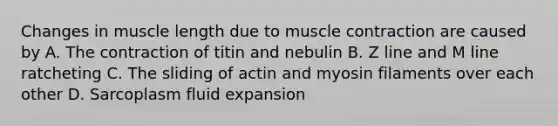 Changes in muscle length due to muscle contraction are caused by A. The contraction of titin and nebulin B. Z line and M line ratcheting C. The sliding of actin and myosin filaments over each other D. Sarcoplasm fluid expansion