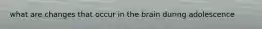 what are changes that occur in the brain during adolescence