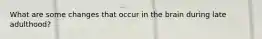 What are some changes that occur in the brain during late adulthood?