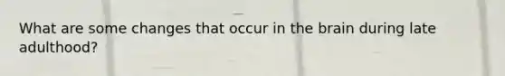 What are some changes that occur in the brain during late adulthood?