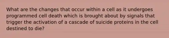 What are the changes that occur within a cell as it undergoes programmed cell death which is brought about by signals that trigger the activation of a cascade of suicide proteins in the cell destined to die?