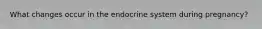What changes occur in the endocrine system during pregnancy?