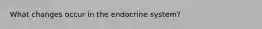 What changes occur in the endocrine system?