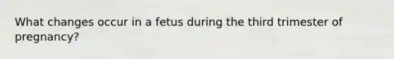 What changes occur in a fetus during the third trimester of pregnancy?