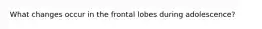 What changes occur in the frontal lobes during adolescence?