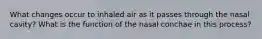 What changes occur to inhaled air as it passes through the nasal cavity? What is the function of the nasal conchae in this process?
