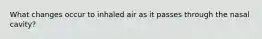 What changes occur to inhaled air as it passes through the nasal cavity?