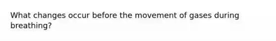 What changes occur before the movement of gases during breathing?