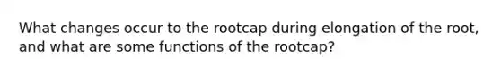 What changes occur to the rootcap during elongation of the root, and what are some functions of the rootcap?