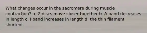 What changes occur in the sacromere during <a href='https://www.questionai.com/knowledge/k0LBwLeEer-muscle-contraction' class='anchor-knowledge'>muscle contraction</a>? a. Z discs move closer together b. A band decreases in length c. I band increases in length d. the thin filament shortens