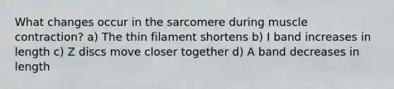 What changes occur in the sarcomere during muscle contraction? a) The thin filament shortens b) I band increases in length c) Z discs move closer together d) A band decreases in length