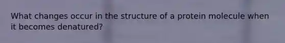 What changes occur in the structure of a protein molecule when it becomes denatured?