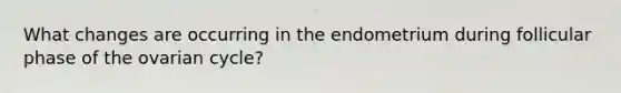 What changes are occurring in the endometrium during follicular phase of the ovarian cycle?