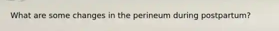What are some changes in the perineum during postpartum?
