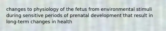 changes to physiology of the fetus from environmental stimuli during sensitive periods of prenatal development that result in long-term changes in health